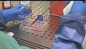 Hantavirus, test negativi e rassicurazioni, "nessuna mutazione"