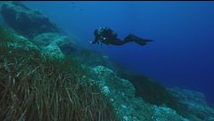 La strage dei subacquei alle Maldive, partono le ricerche
