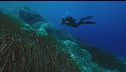 La ricerca disperata dei sub nella grotta, esperti finlandesi in azione