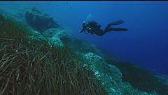 La ricerca disperata dei sub nella grotta, esperti finlandesi in azione