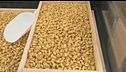 Piccoli, fatti a mano, a caro prezzi, tortellini artigianali a 59 euro al kg