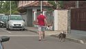 280 bimbi e 850 cani, nel milanese la "tassa sugli animali"