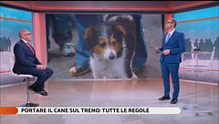 Portare il cane sul treno: tutte le regole