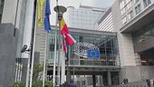 L'invito della vergogna, ora l'Europa chiama a Bruxelles i talebani