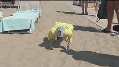 Telecamera, sensori e si chiama Flipper, è il cane bagnino robot