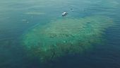 Oceani in ebollizione e morti, l'emergenza caldo in Europa continua