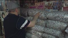Putignano, in una bottega resiste l'ultimo "coriandolaio"