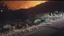 Spagna, inferno di fuoco in Andalusia, 12 vittime, 20 dispersi