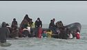 Migranti, continua il crollo degli sbarchi, l'impennata di rimpatri