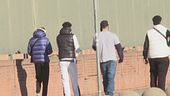Seviziato e torturato ad Halloween, il verdetto choc dei giudici minorili