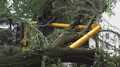 Italia spaccata, caldo record in 15 città, roghi dall'Umbria alla Sicilia