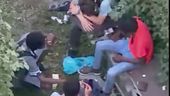 A Brescia spaccio, sbandati e degrado nel cuore Parco Tarello
