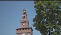 Milano, a rischio i 18 gatti del Castello Sforzesco, l'appello di Feltri