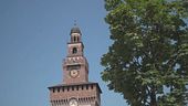Milano, a rischio i 18 gatti del Castello Sforzesco, l'appello di Feltri