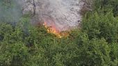 Gli incendi sul Gargano, i turisti e i bagnanti evacuati via mare