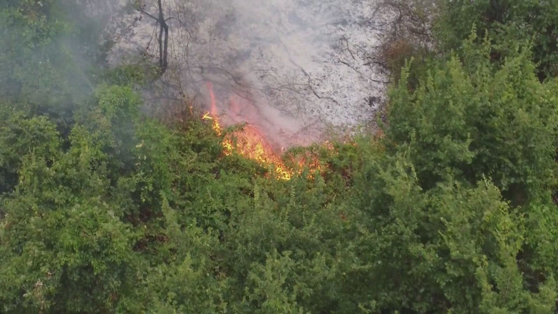 Gargano e Oasi Lago Salso sotto l’attacco sistematico degli incendi: il Touring Club guida la mobilitazione delle piazze