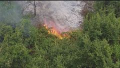 Gli incendi sul Gargano, i turisti e i bagnanti evacuati via mare