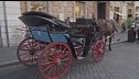 Nella Capitale giro di vite sulle "botticelle" a colpi di burocrazia