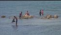 Un'emergenza inesistente? Da Ceuta i marocchini si spostano in Spagna