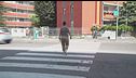 Milano, con la giunta Sala ci vogliono sette anni per un semaforo