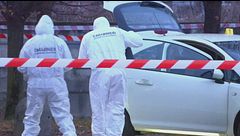Ucciso a Cervia, è svolta nell'omicidio di Nicola Musiani