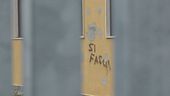 "Sì fascia" e "no fascia", a Pisa di storto non c'è soltanto la Torre