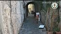 "Guardate l'imbecille in costume hawaiano che abbandona un frigo"
