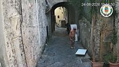 "Guardate l'imbecille in costume hawaiano che abbandona un frigo"