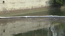 Milano, sversamento di gasolio nel Naviglio, chiazza di 28 km