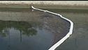 Gasolio nel Naviglio, oltre 100mila euro per ripulire l'acqua