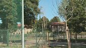 Milano, il flop dell'operazione "Forestami" della giunta di Sala