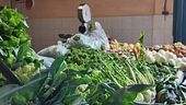 In Puglia il blocco dei tir fa decollare i prezzi dell'ortofrutta