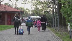 L'Islam che avanza, a Piacenza l'ora di religione è sospesa