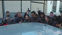 La Procura voleva arrestarlo invece la giudice ha scarcerato Siher