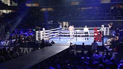 TAF 11 - The Art of Fighting