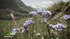 Puntata del 5 luglio