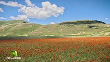 Puntata del 13 settembre