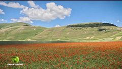 Puntata del 13 settembre
