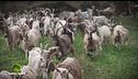 Puntata del 18 ottobre