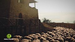 La pecora sarda e il pecorino toscano