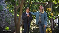 Le limonaie della Costiera