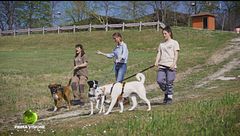 Sanpa Dogs - Un rifugio per due