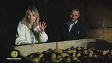 La conservazione delle patate