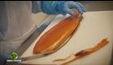 La produzione del salmone affumicato