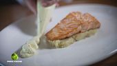 Un menù di salmone