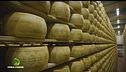 La sala di stagionatura del Grana Padano di montagna
