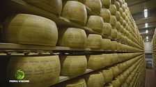 La sala di stagionatura del Grana Padano di montagna