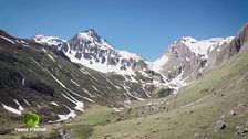 Tesoro alpino