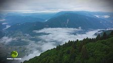 La valle delle primizie