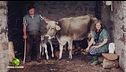 La storia di un'azienda agricola di generazione in generazione